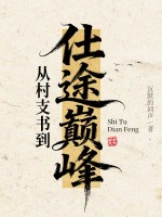 从村支书到仕途巅峰